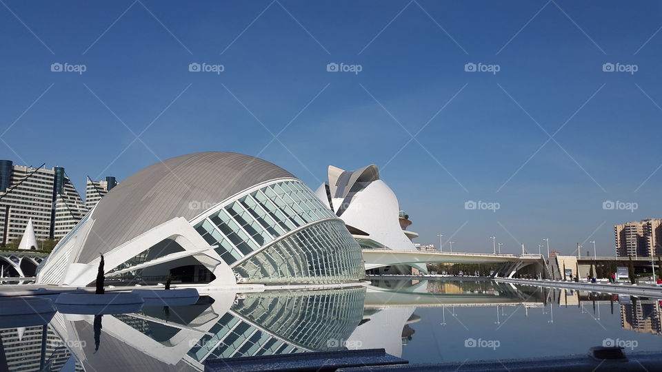 "The creations of the human hands can never seize to amaze me!" This beautiful building is part of the aquatic museum in Valencia, Spain.