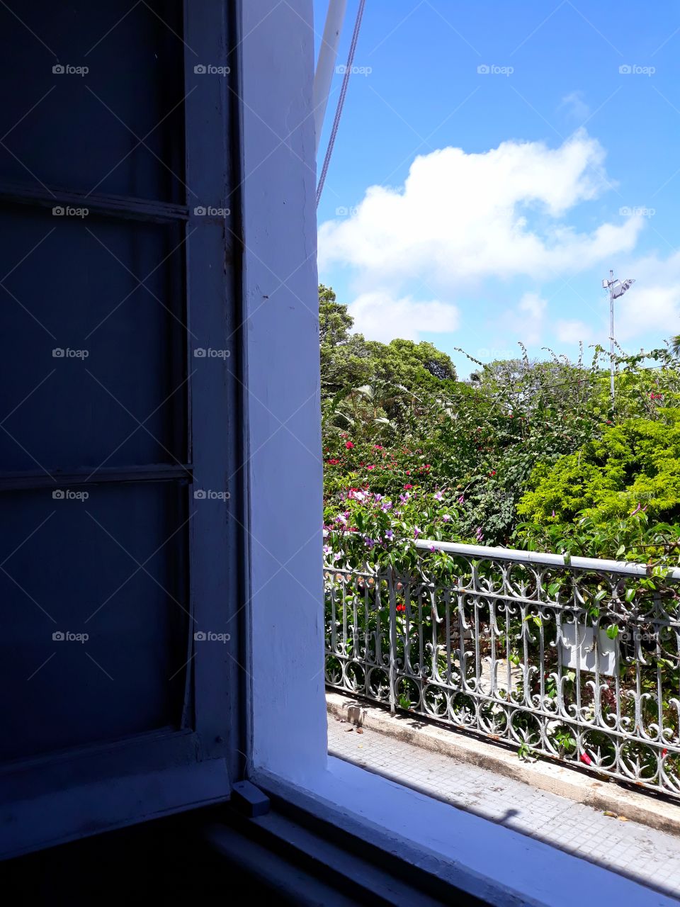 Looking through the window a garden in Brazil