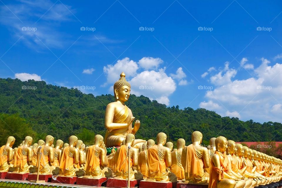 Statue, Buddha, golden lot.