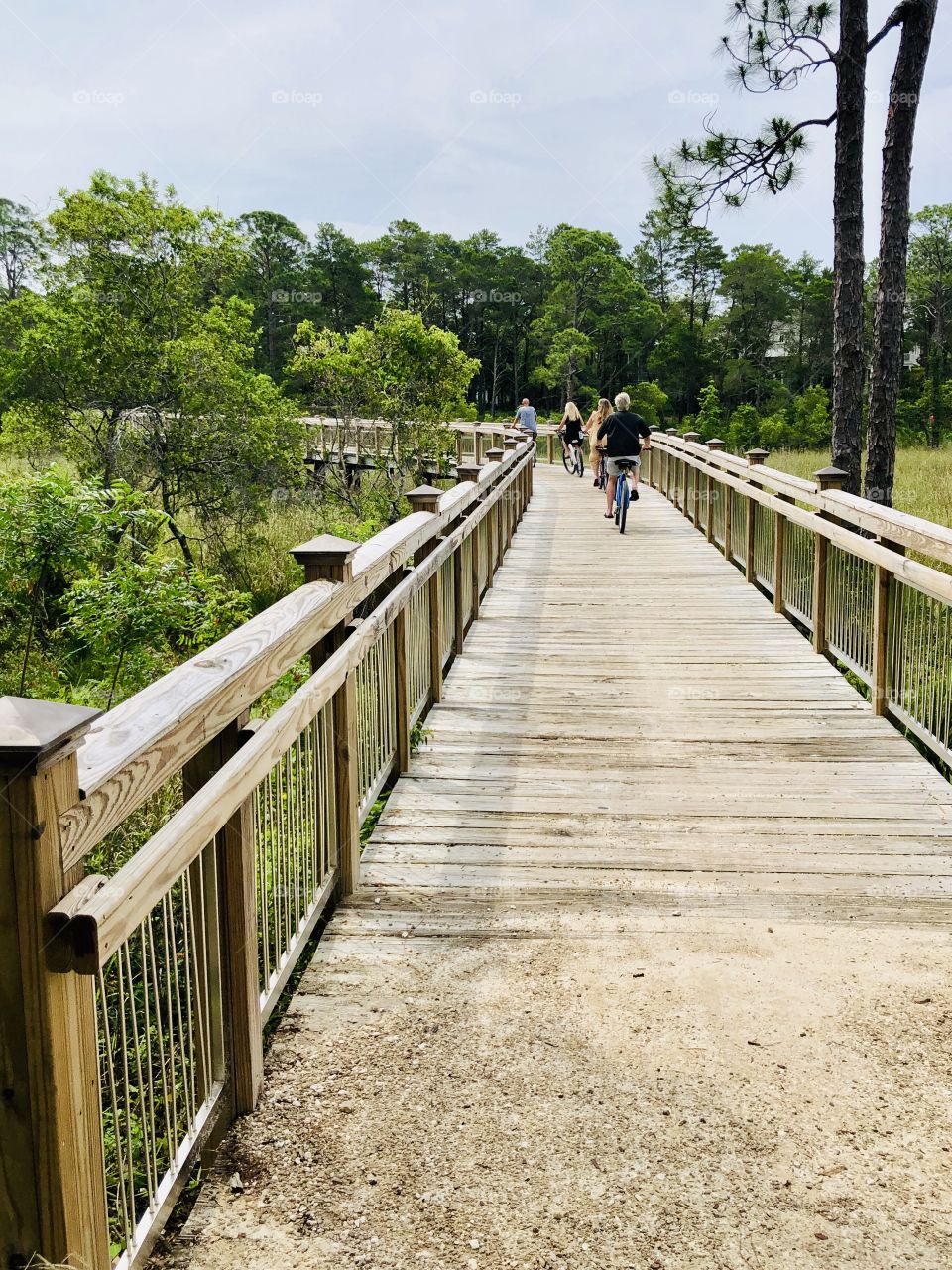 Group of people bicycling on wooden boardwalk 