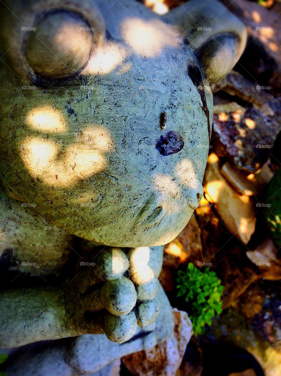 Nature, No Person, Food, Desktop, Closeup