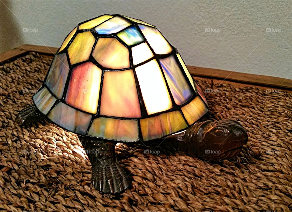 Turtle Night Light