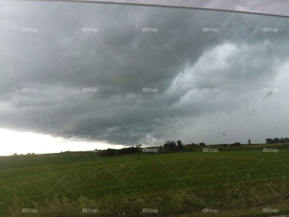 summer grey sky  corn field