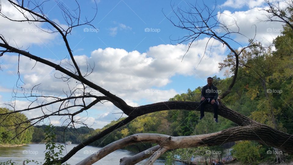 man on a branch