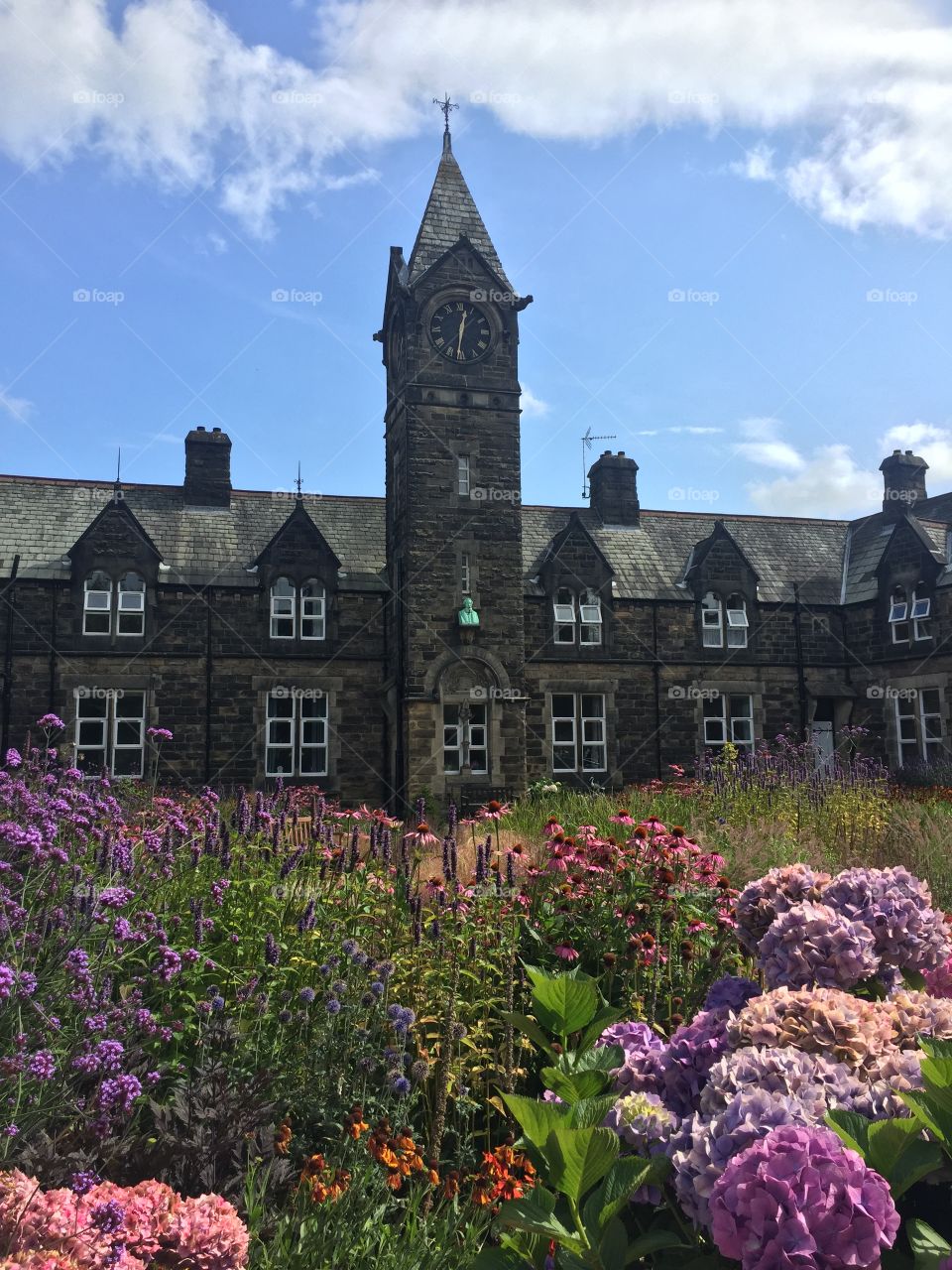Alms Houses in Harrogate with flowers in foreground. Clock tower with bust of the founder of Alms Houses surrounded by blue sky