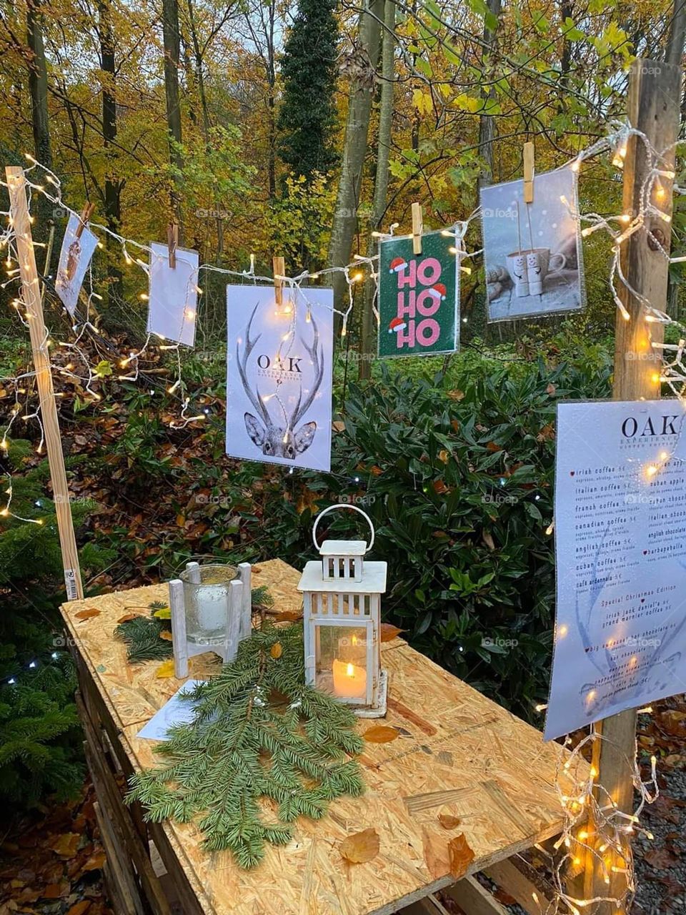 Table furnished in the woods