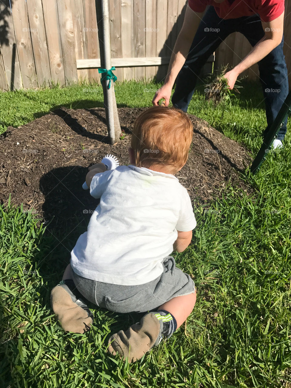 Gardening with a brush