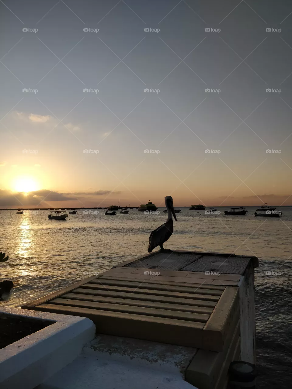 Crane, sunset, sea, Shadow, boats