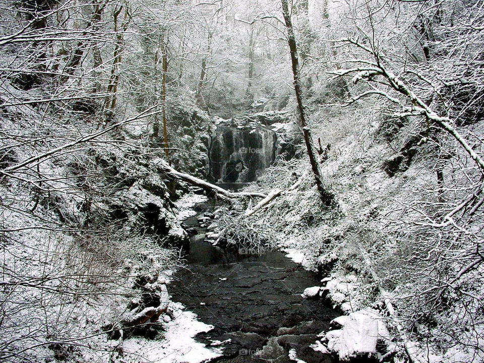 Winter. Waterfall