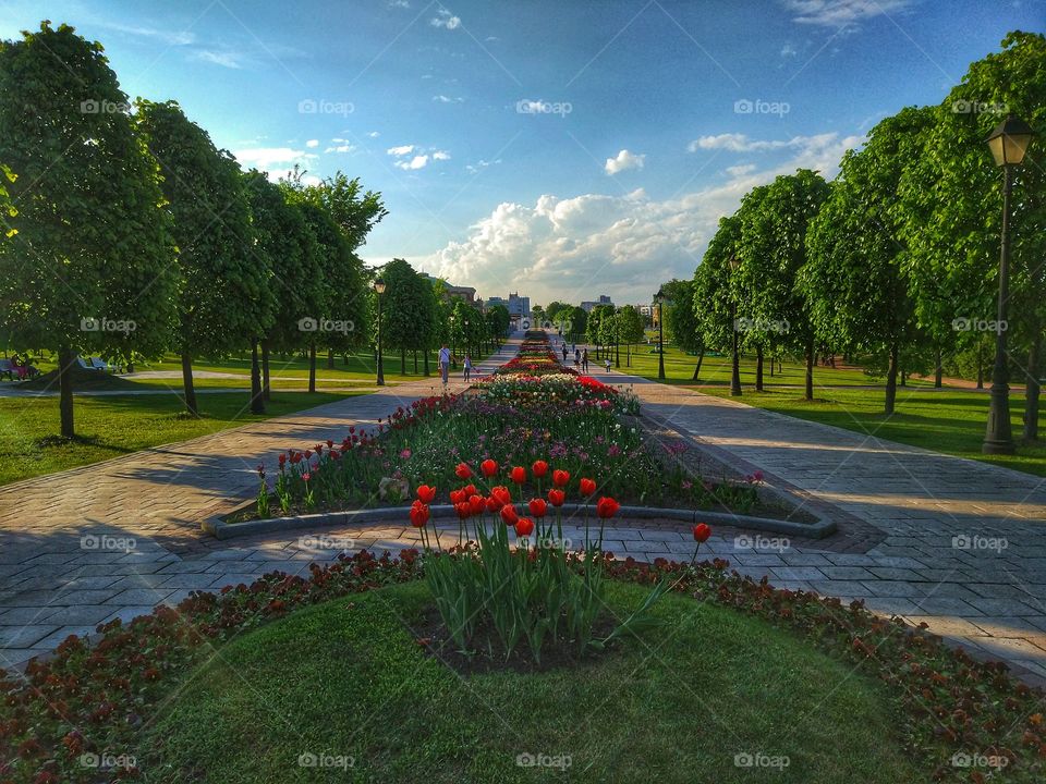 Park in Tsaritsino, Moscow