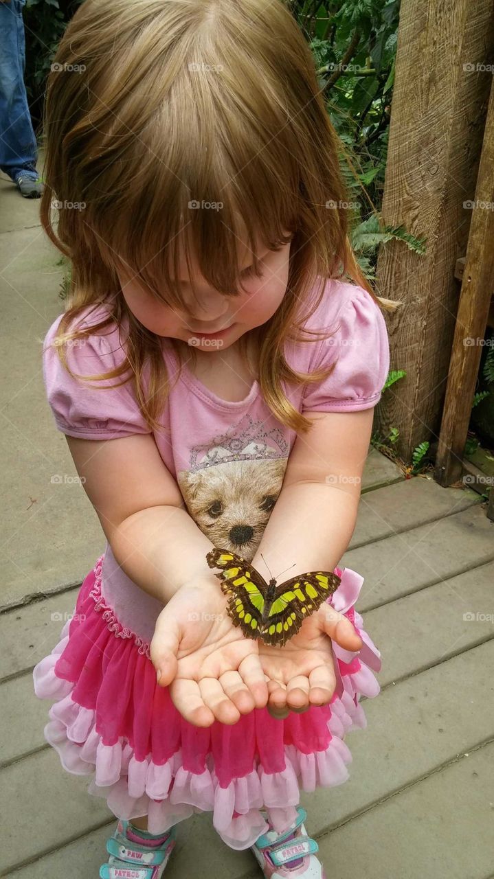 Child and butterfly
