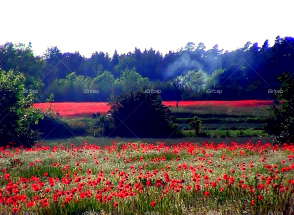 sky nature sverige visitsweden by merethe