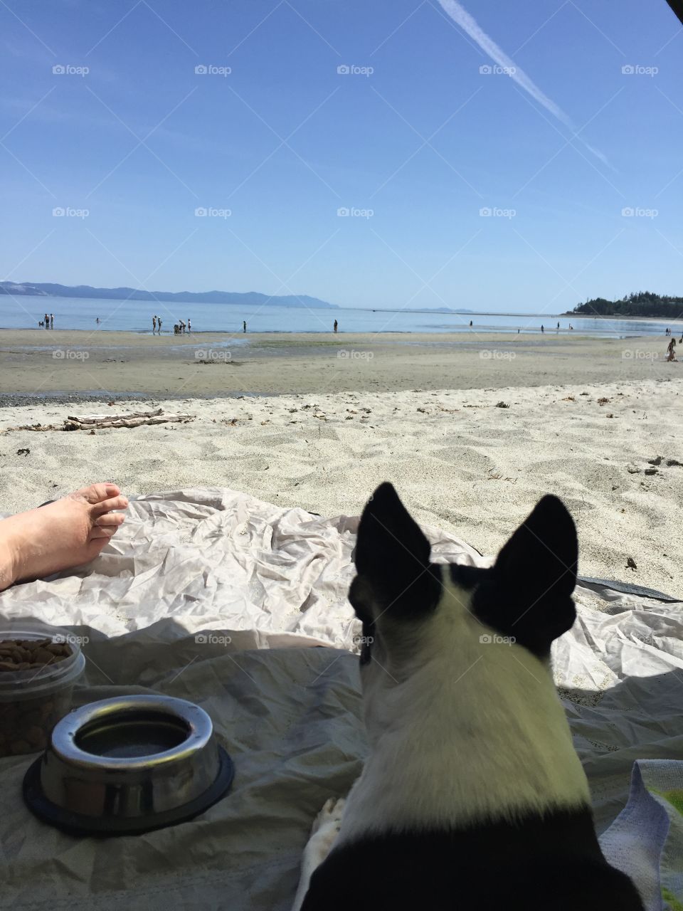 Its a dogs life. The puppy gets prime spot in the shade tent with food, water and a spectacular view!