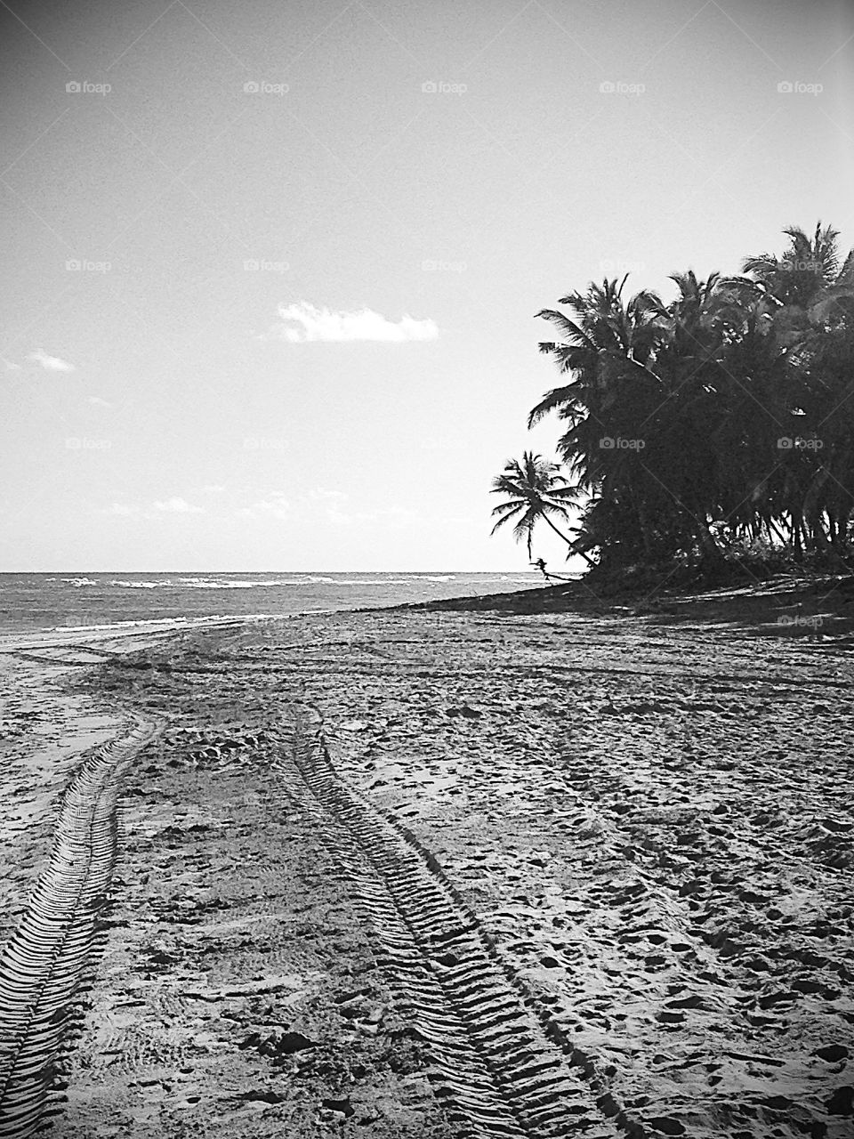 Tyre track on sand at beach