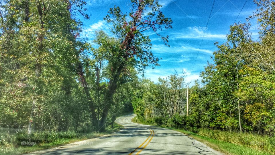 Nature. Turkey's Crossing the Road in the Distance