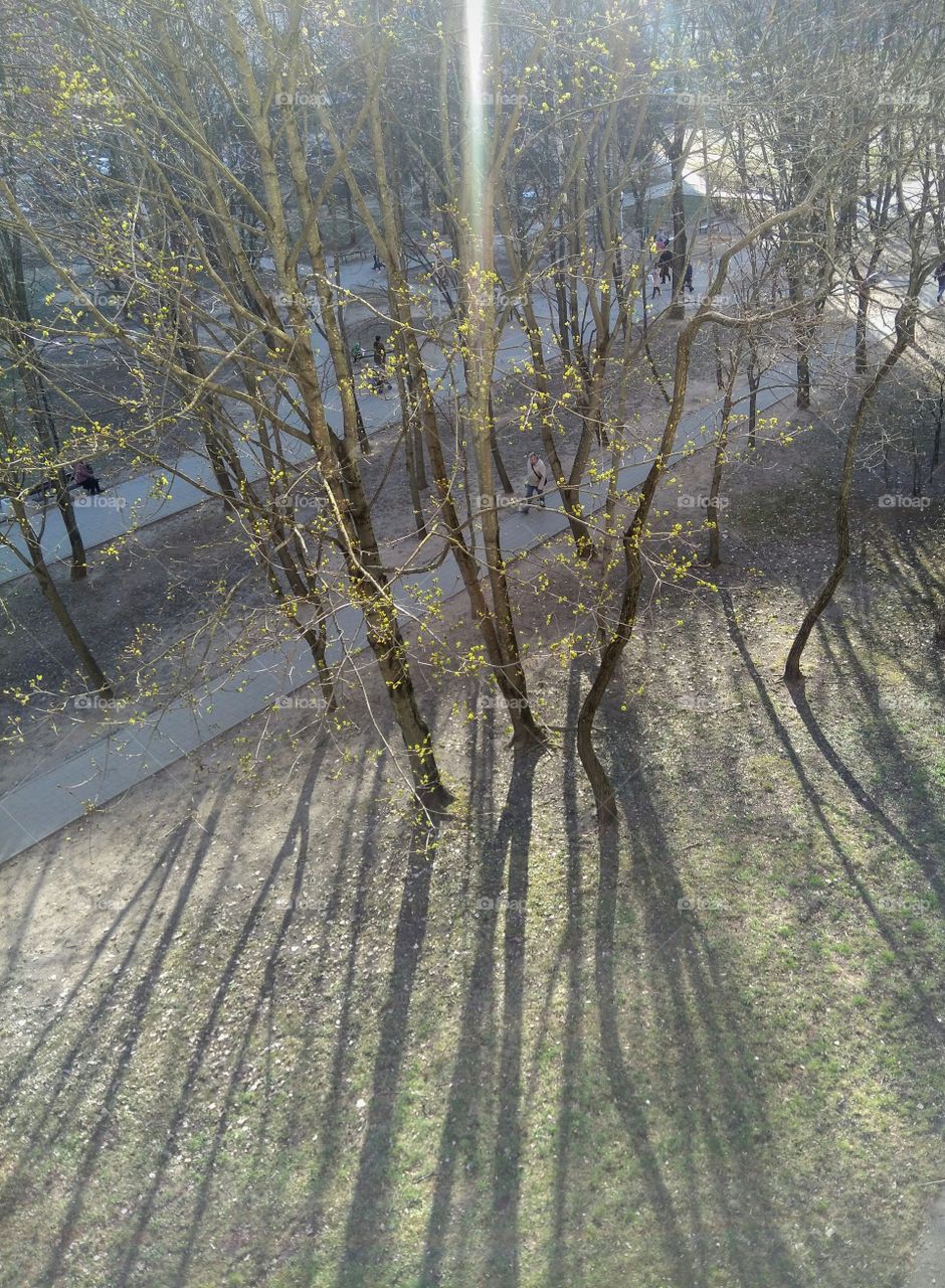 street spring landscape top view light and shadows