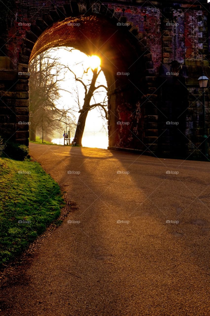 Sunrise At The Park, Avenham Park Sunrise, Sunshine Through The Bridge, Graffiti Bridge, England Sunrise, Sunshine In England 