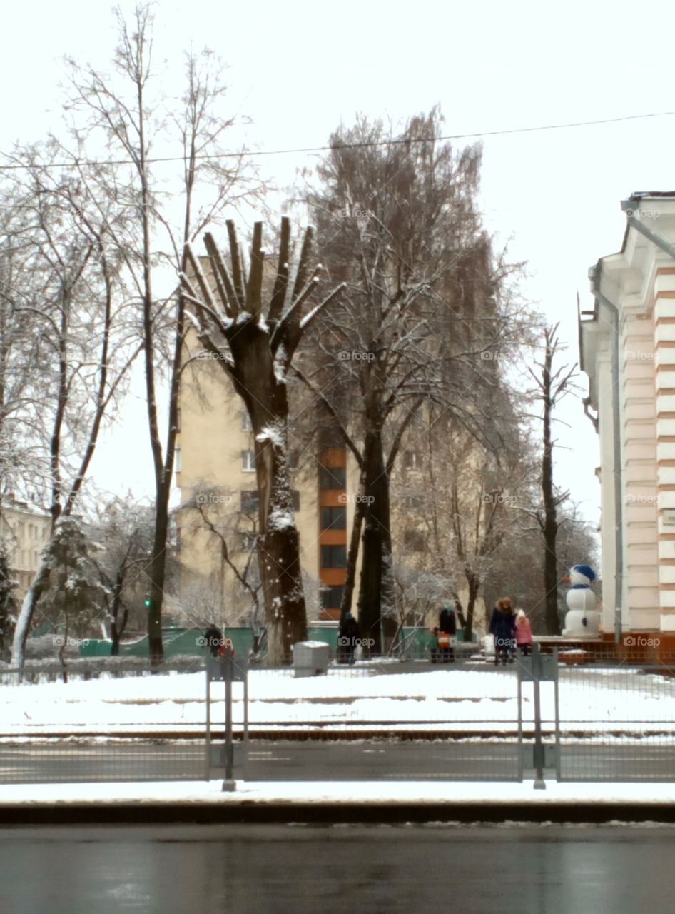 Winter, Architecture, City, Tree, Water