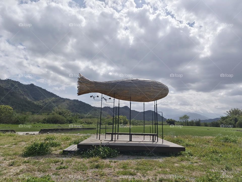 Looking at the scenery under a cloud like a fish