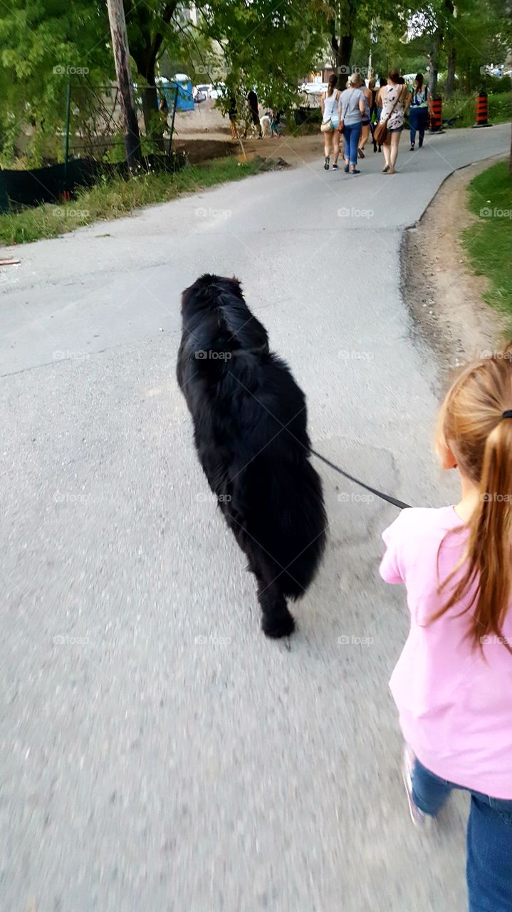 People, Dog, Street, Road, Outdoors