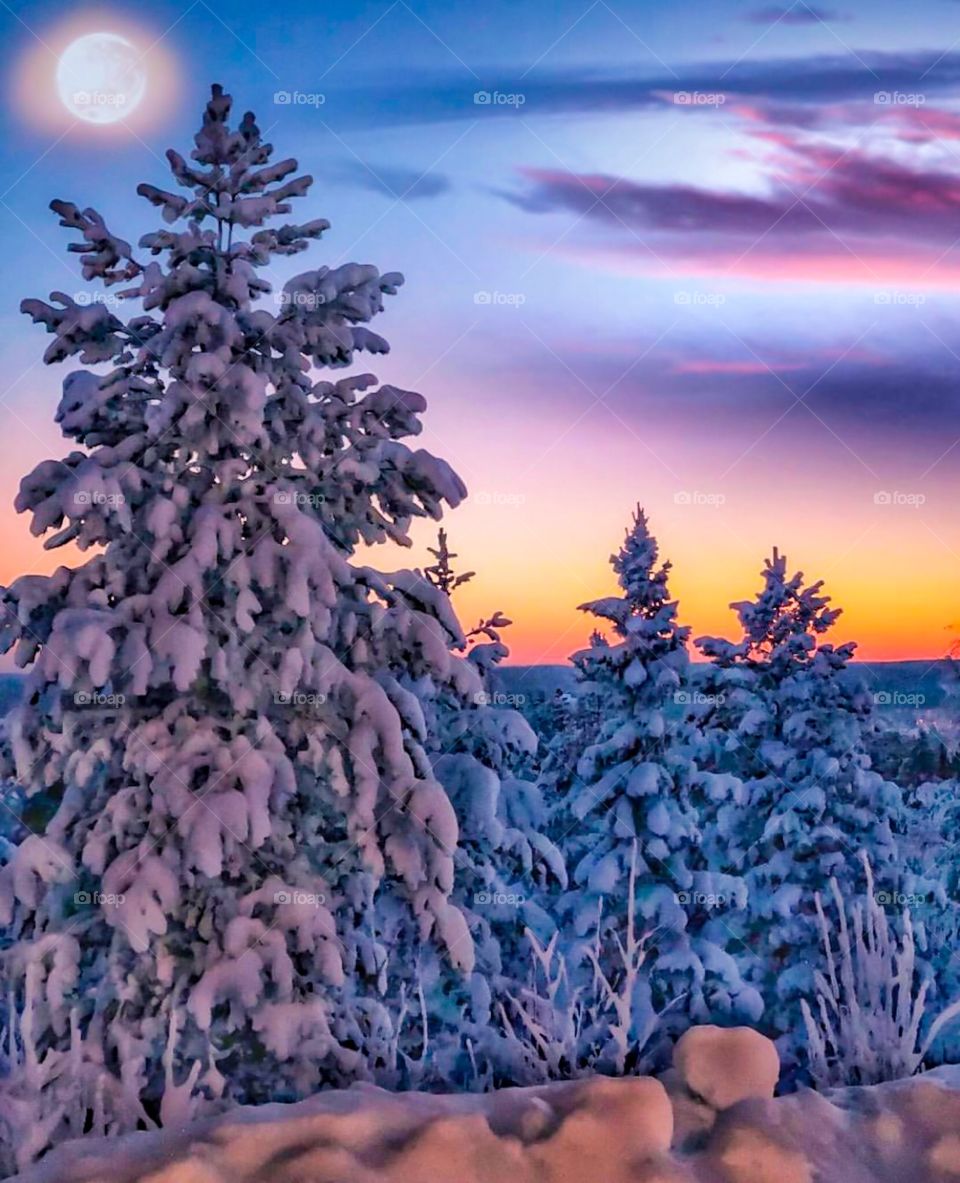 Iceland- 19.11.2020: Winter Park in snow. Winter landscape background. Winter is coming. 