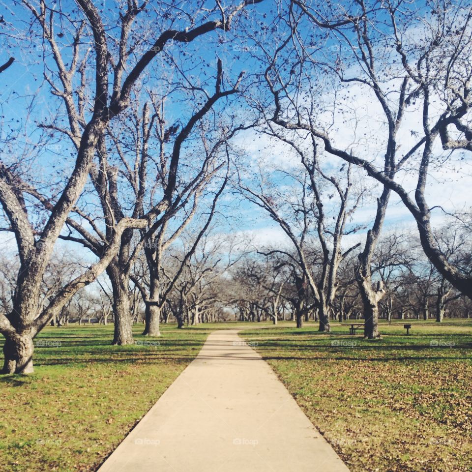 Path. A path in the park in Georgetown, Texas