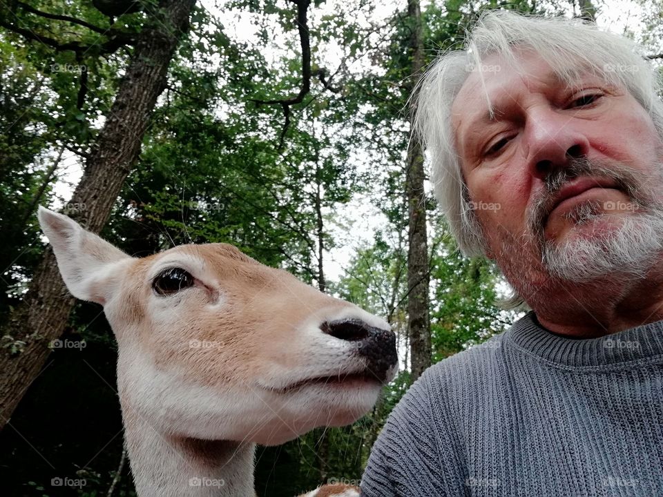 Deer and man