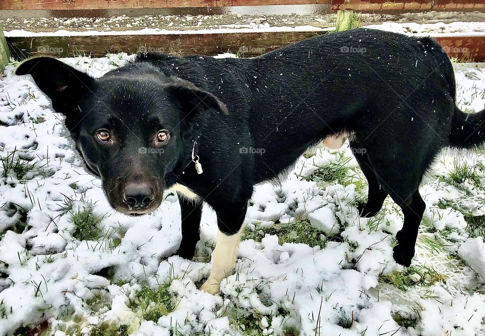 Moin, I‘m Sam 😬