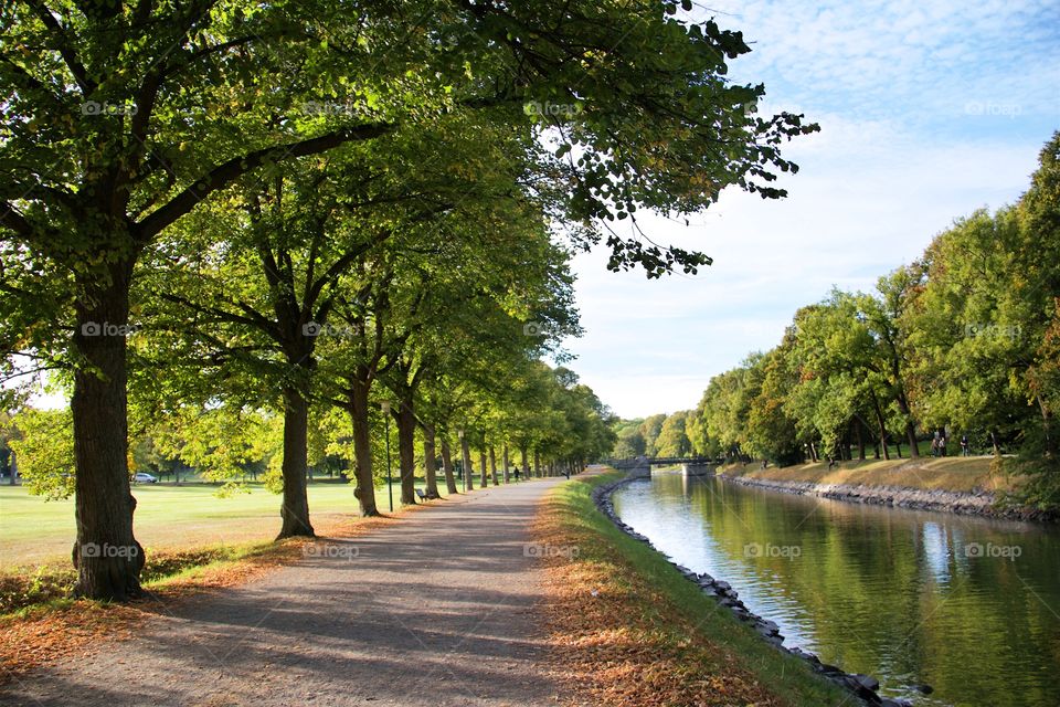 Scenic view of idyllic lake