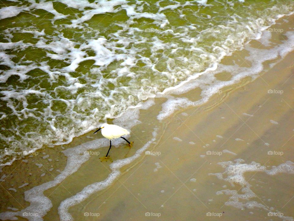 Walking on the Beach