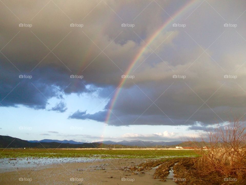 The Double Rainbow