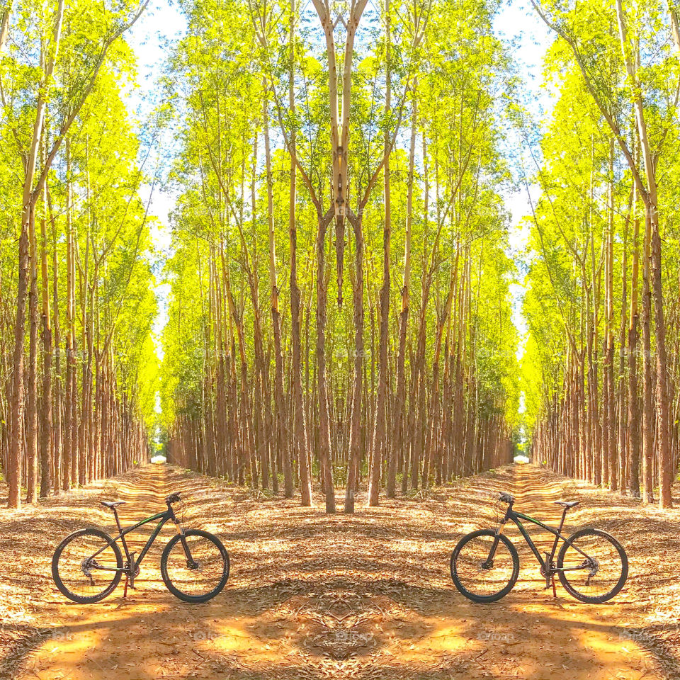 Cycle in nature