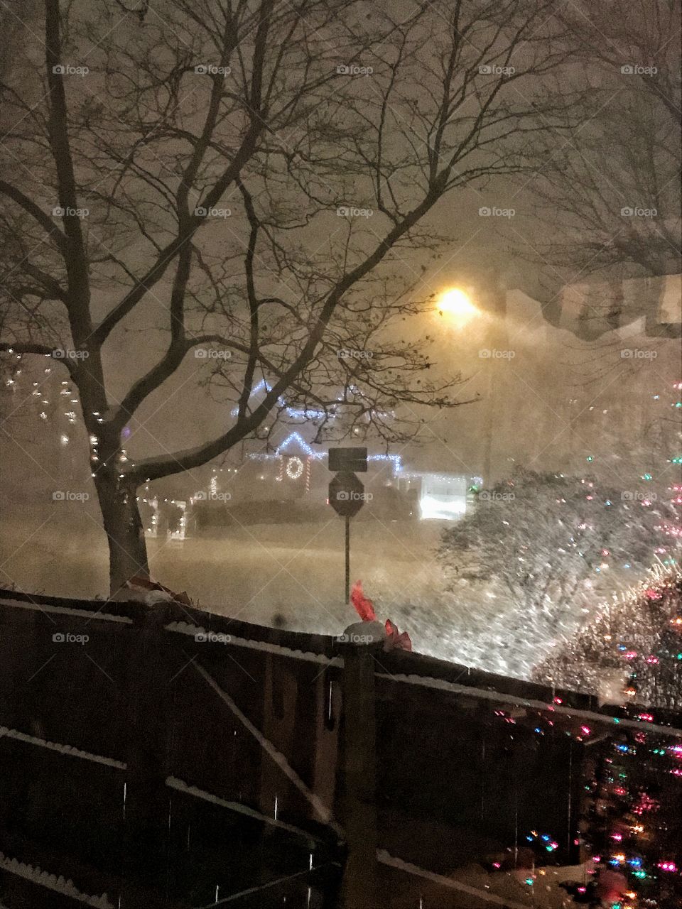 Snowy night
