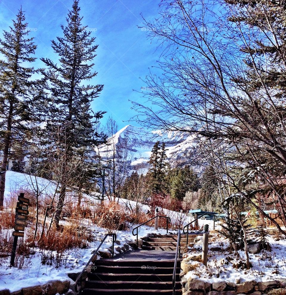 Winter Playground