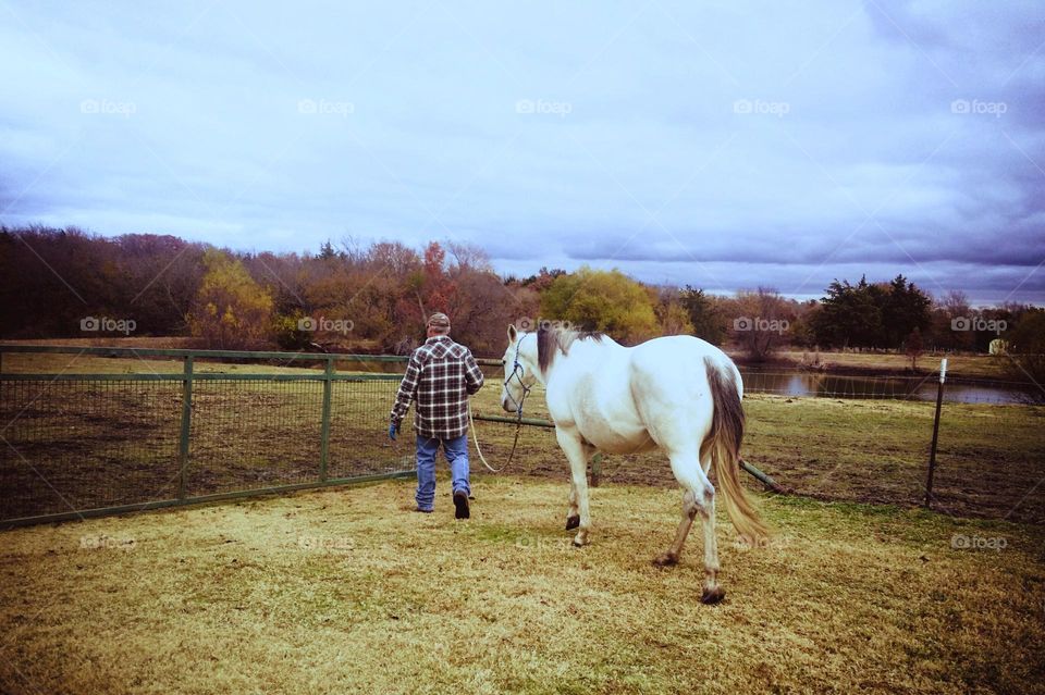 Man Walking His Horse Out a Gate in Fall