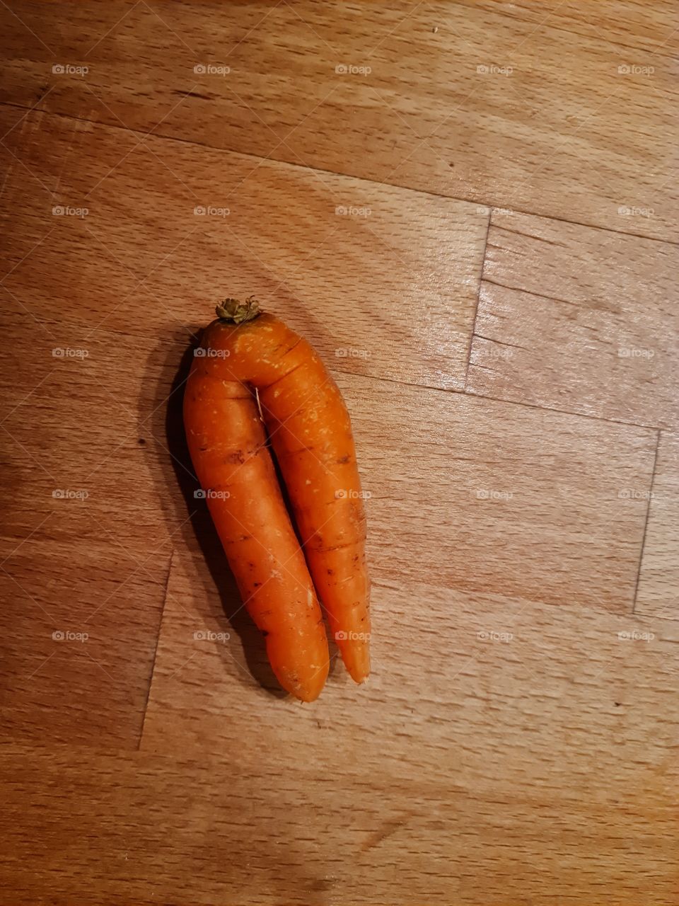 Karotte - Carrot