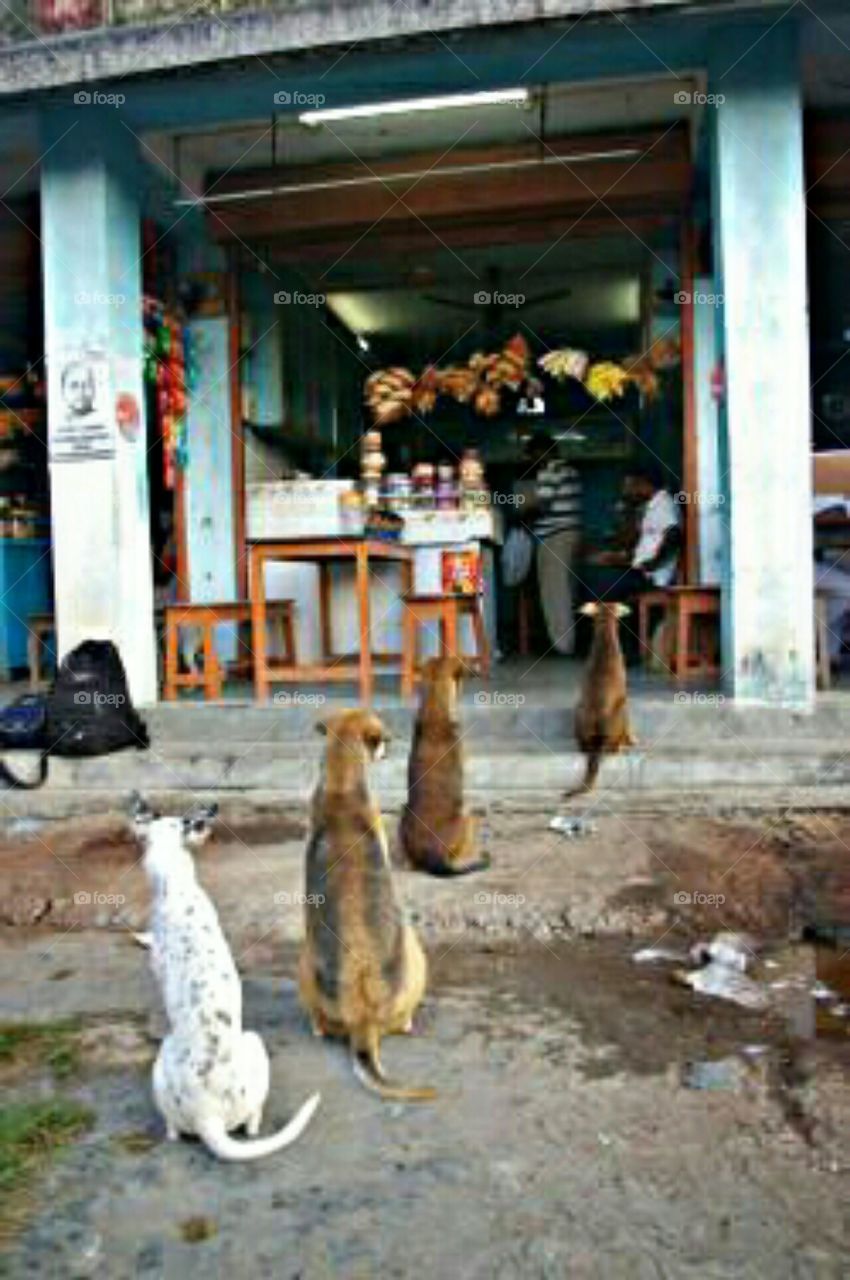 Social Distancing By Covid 19