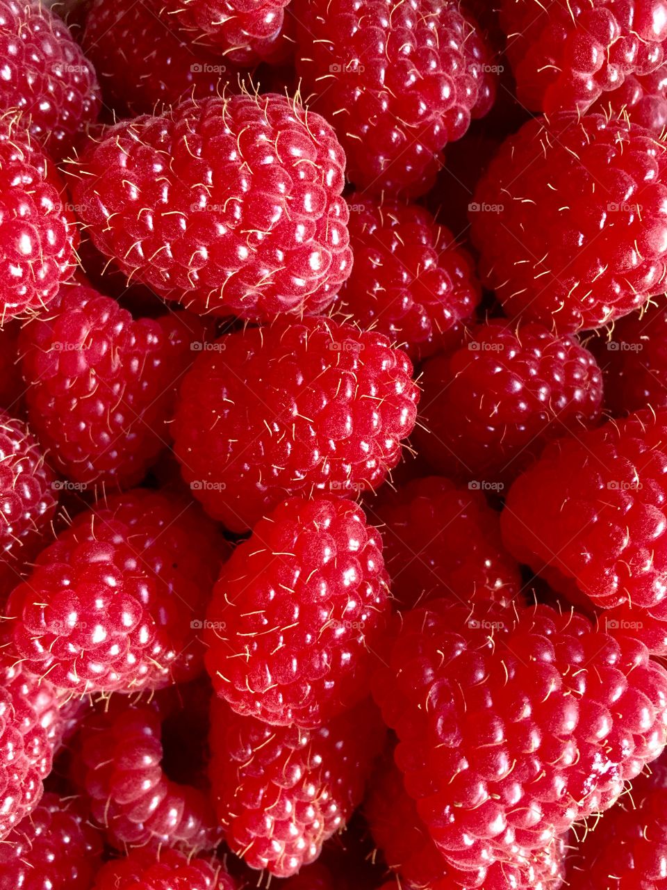 Full frame shot of raspberries