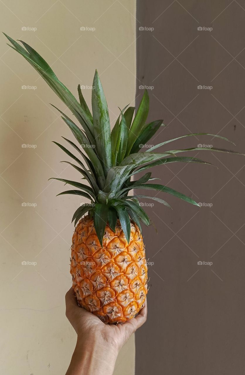 Pineapple in a hand