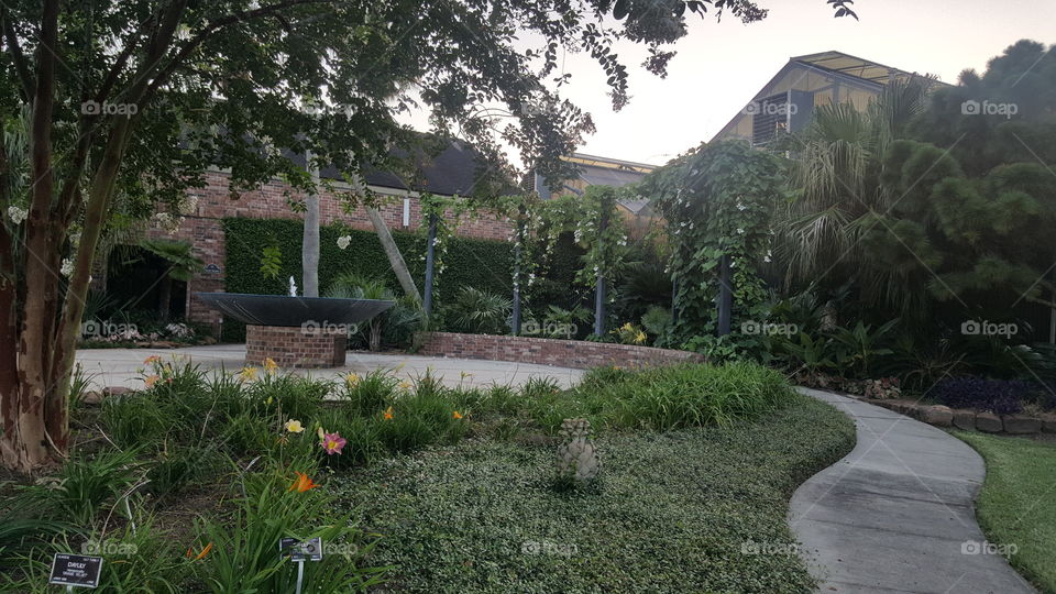 Garden, No Person, Tree, House, Home