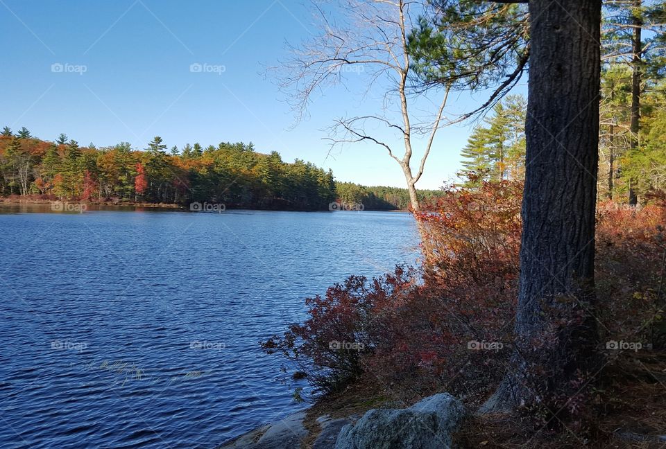 Lake in Autumn