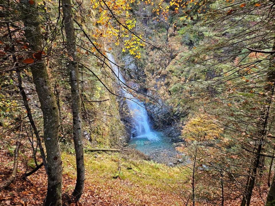 Oasis of Calm

Find refuge in the soothing tranquility of this waterfall sanctuary with this peaceful picture. Gentle flows, lush surroundings, and serene atmosphere promote relaxation and calm.