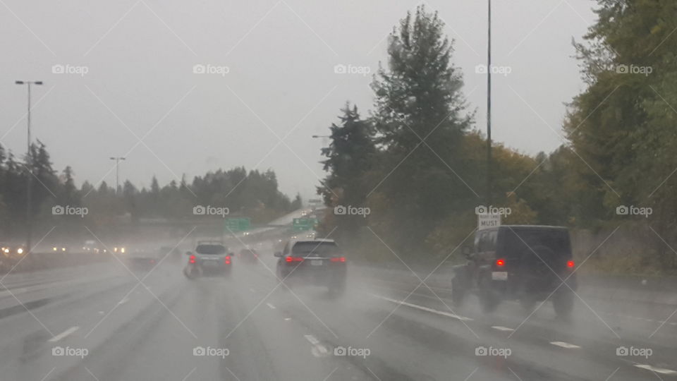 Rainy drive