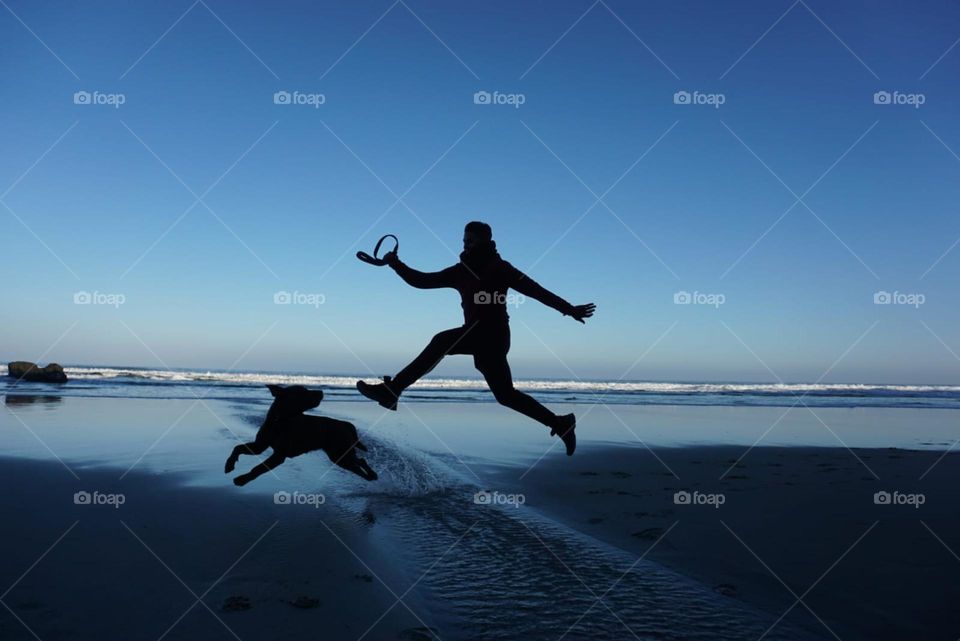 Beach#ocean#sky#jump#human#dog#silhouette