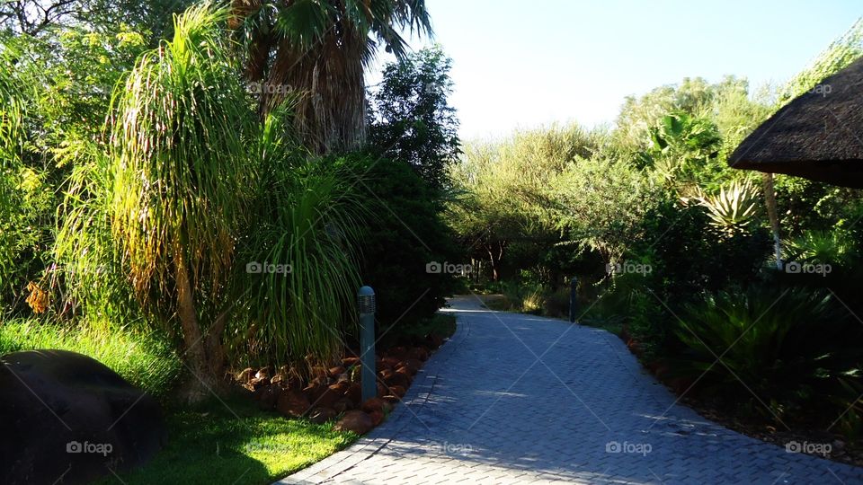 Walking in the garden