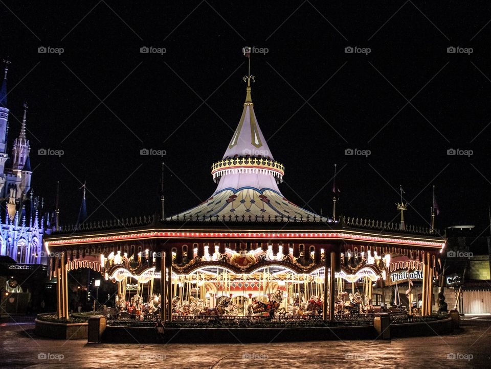 Disney Carousel 