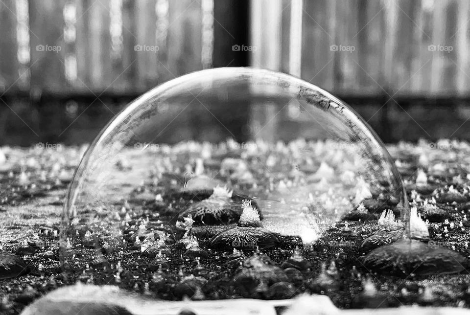 In the winter time, the green that surrounds us nearly disappears. It leaves behind an almost alien grey, to nature. 