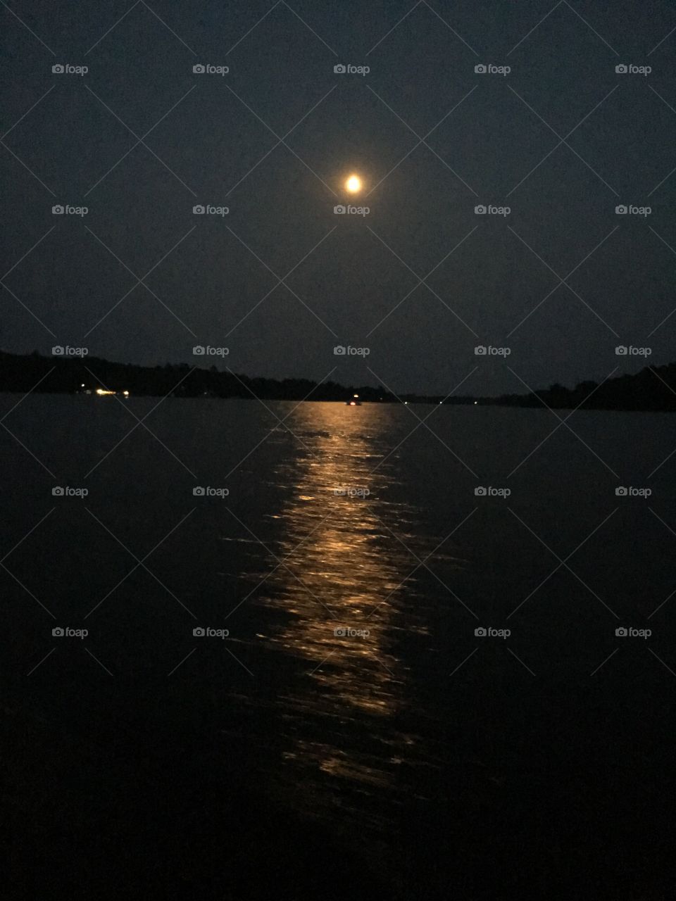 Moonlit lake
