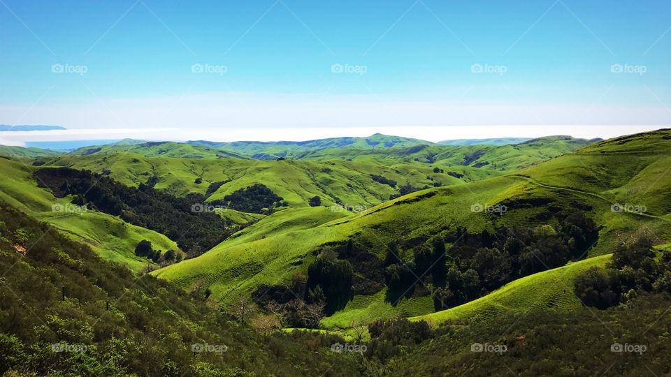 Rolling hills,  Green Valley Rd, Cayucos, California, landscape, green, mountain