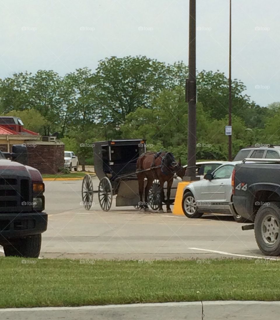 Amish in Iowa